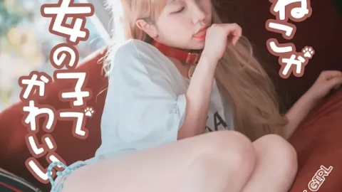 全网短片导航在线播放全集